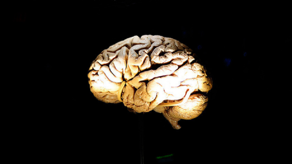 حل لغز نسيج دماغ بشري ظل سليما لمدة 2600 سنة