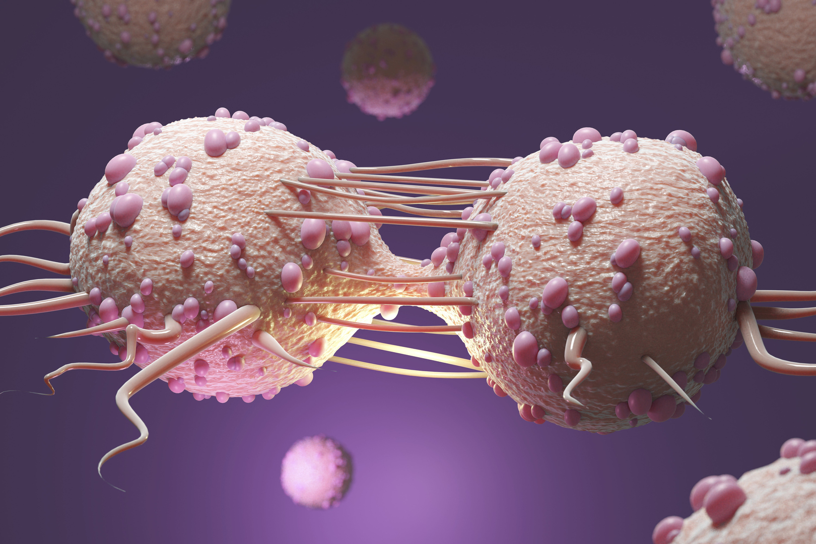 كيف تتذكر الخلايا هويتها وتتجنب الأخطاء التي يمكن أن تسبب السرطان؟